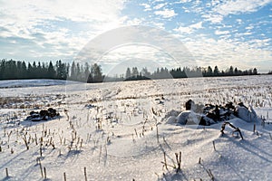 Empty Countryside Landscape in Sunny Winter Day with Snow Covering the Ground, Abstract Background with Deep Look