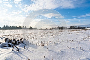 Empty Countryside Landscape in Sunny Winter Day with Snow Covering the Ground, Abstract Background with Deep Look