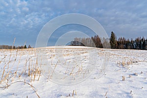 Empty Countryside Landscape in Sunny Winter Day with Snow Covering the Ground, Abstract Background with Deep Look