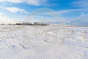 Empty Countryside Landscape in Sunny Winter Day with Snow Covering the Ground, Abstract Background with Deep Look