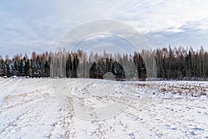 Empty Countryside Landscape in Sunny Winter Day with Snow Covering the Ground, Abstract Background with Deep Look