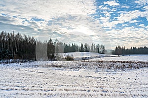 Empty Countryside Landscape in Sunny Winter Day with Snow Covering the Ground, Abstract Background with Deep Look