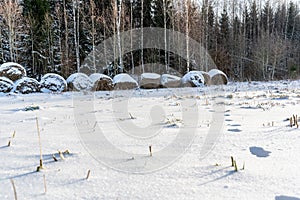 Empty Countryside Landscape in Sunny Winter Day with Snow Covering the Ground, Abstract Background with Deep Look