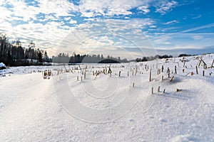 Empty Countryside Landscape in Sunny Winter Day with Snow Covering the Ground, Abstract Background with Deep Look