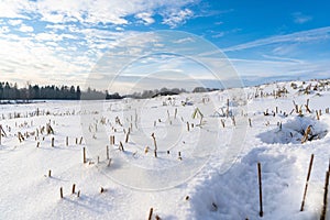 Empty Countryside Landscape in Sunny Winter Day with Snow Covering the Ground, Abstract Background with Deep Look