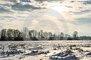 Empty Countryside Landscape in Sunny Winter Day with Snow Covering the Ground, Abstract Background with Deep Look and Dramatic