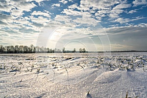 Empty Countryside Landscape in Sunny Winter Day with Snow Covering the Ground, Abstract Background with Deep Look and Dramatic