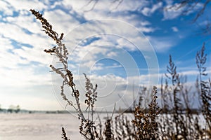 Empty Countryside Landscape in Sunny Winter Day with Snow Covering the Ground, Abstract Background with Deep Look and Dramatic