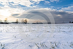 Empty Countryside Landscape in Sunny Winter Day with Snow Covering the Ground, Abstract Background with Deep Look and Dramatic