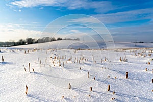 Empty Countryside Landscape in Sunny Winter Day with Snow Covering the Ground with Power Lines in Frame, Abstract Background