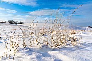 Empty Countryside Landscape in Sunny Winter Day with Snow Covering the Ground with Power Lines in Frame, Abstract Background with