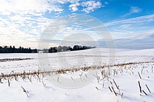 Empty Countryside Landscape in Sunny Winter Day with Snow Covering the Ground with Power Lines in Frame, Abstract Background