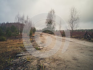 Empty Countryside Landscape in Swamp