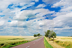 Empty countryside road