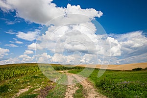Empty countryside road through fields