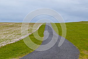 Empty countryside road running between green pastures