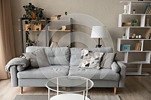 Empty cozy living room with grey comfortable sofa