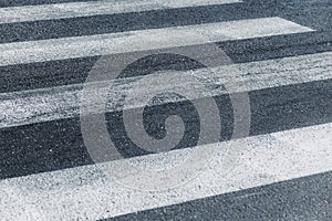 Empty crosswalk in gray and white. Pedestrian crossing, asphalt road.