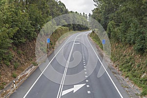 Empty curved road among the trees in the forest and the mountains of the countryside, Galicia, Spain.