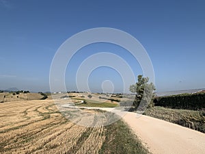 Empty curvy sand road in fields on a clear sky