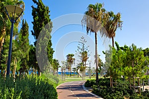 Empty cycling track along the park near the Mediterranean sea