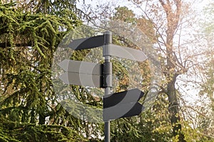 Empty dark metal signpost in nature park