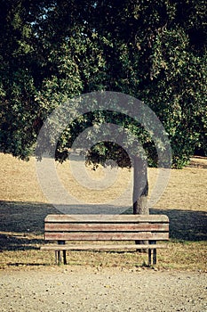 Empty dark wooden bench in the park. A place to sit in nature