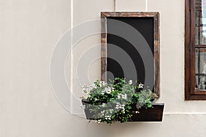 Empty dark wooden chalkboard mockup, flowers in outdoor planter, hanging on wall facade of authentic retro cafe. Menu