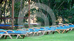 Empty deckchairs on green grass