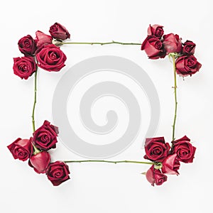 empty decorated red roses frame white background. High quality photo