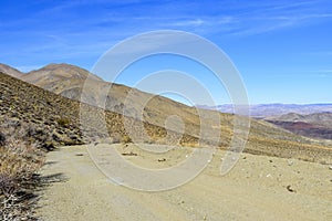 Empty desert dirt road leading towards barren mountains