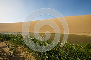 Empty Desert in Sand storm over blue sky summer