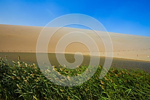 Empty Desert in Sand storm over blue sky summer