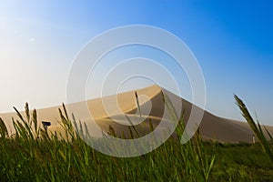 Empty Desert in Sand storm over blue sky summer