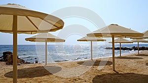 Empty, deserted beach with palm trees, sun loungers and umbrellas of an expensive hotel, during or after a lockdown due