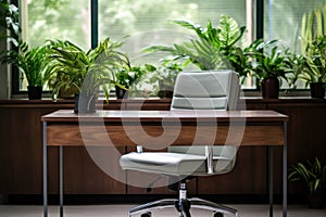an empty desk with an office chair turned toward a lush green indoor plant