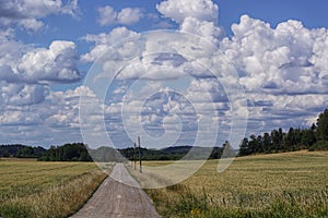 empty dirt road between the fields in summer