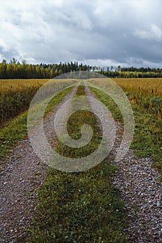 Empty dirt road leading through the field in Finland