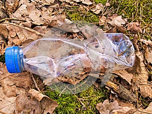 Empty discarded plastic water bottle in a forest