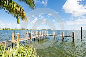 Empty dock on Miami Biscayne Bay with palm tree nice colorful scene