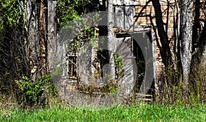 Empty Doorway on Derelict Building