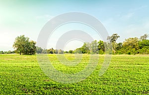 Empty dry cracked swamp reclamation soil, land plot for housing construction Green meadow, beautiful views and beautiful blue sky