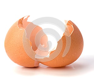 Empty eggshell