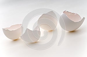 Empty eggshells photo