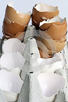 Empty eggshells in an egg carton