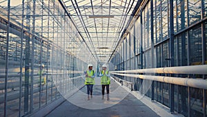 Empty factory workers walking among glass talking about greenhouse production