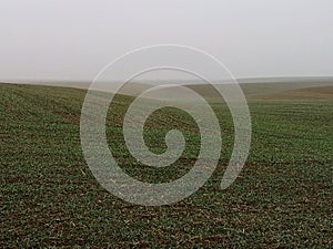 Empty farming field covered with mist