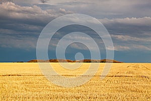 On the empty field after harvesting in sunny day before storm