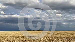 On the empty field after harvesting in sunny day before storm