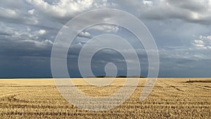 On the empty field after harvesting in sunny day before storm.